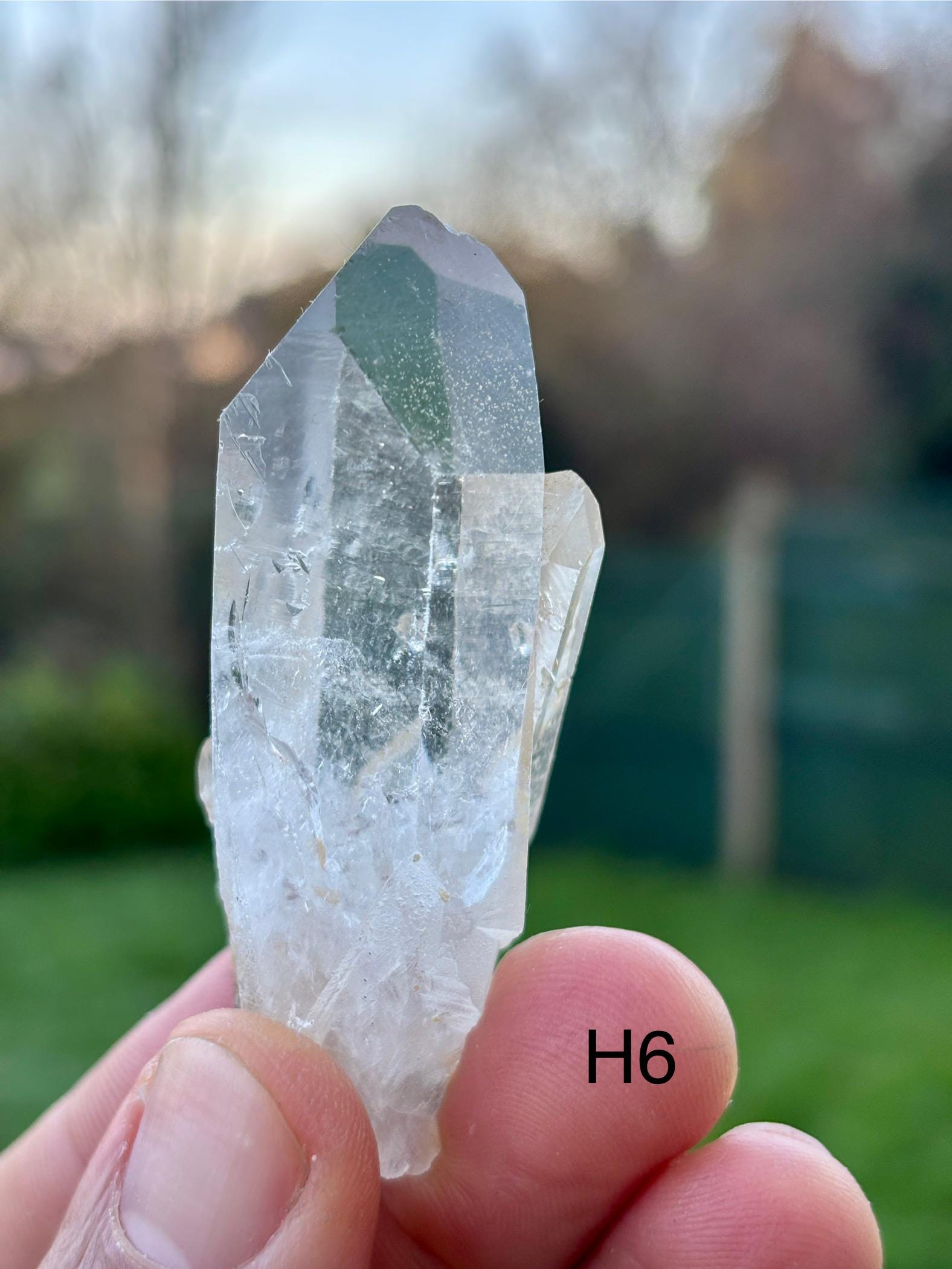 Clear Quartz Points • Extra-Quality Natural Crystal Points • High Transparency • From Brazil