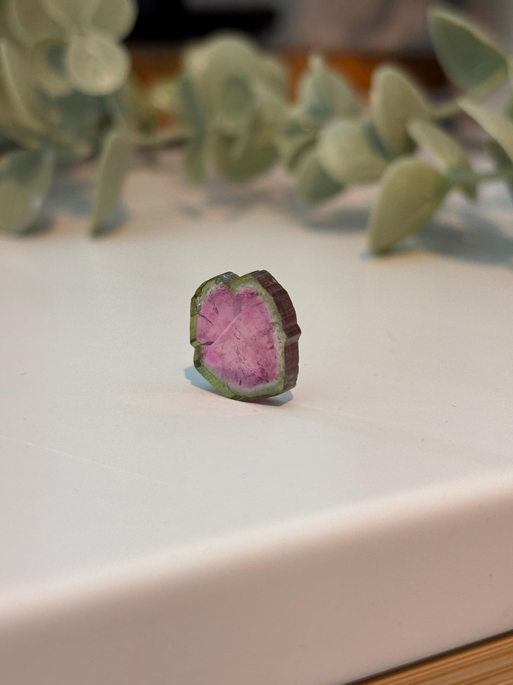 Watermelon Tourmaline Slice | Pink & Green Crystal | Heart Chakra Stone | Collector Gemstone | Natural Tourmaline