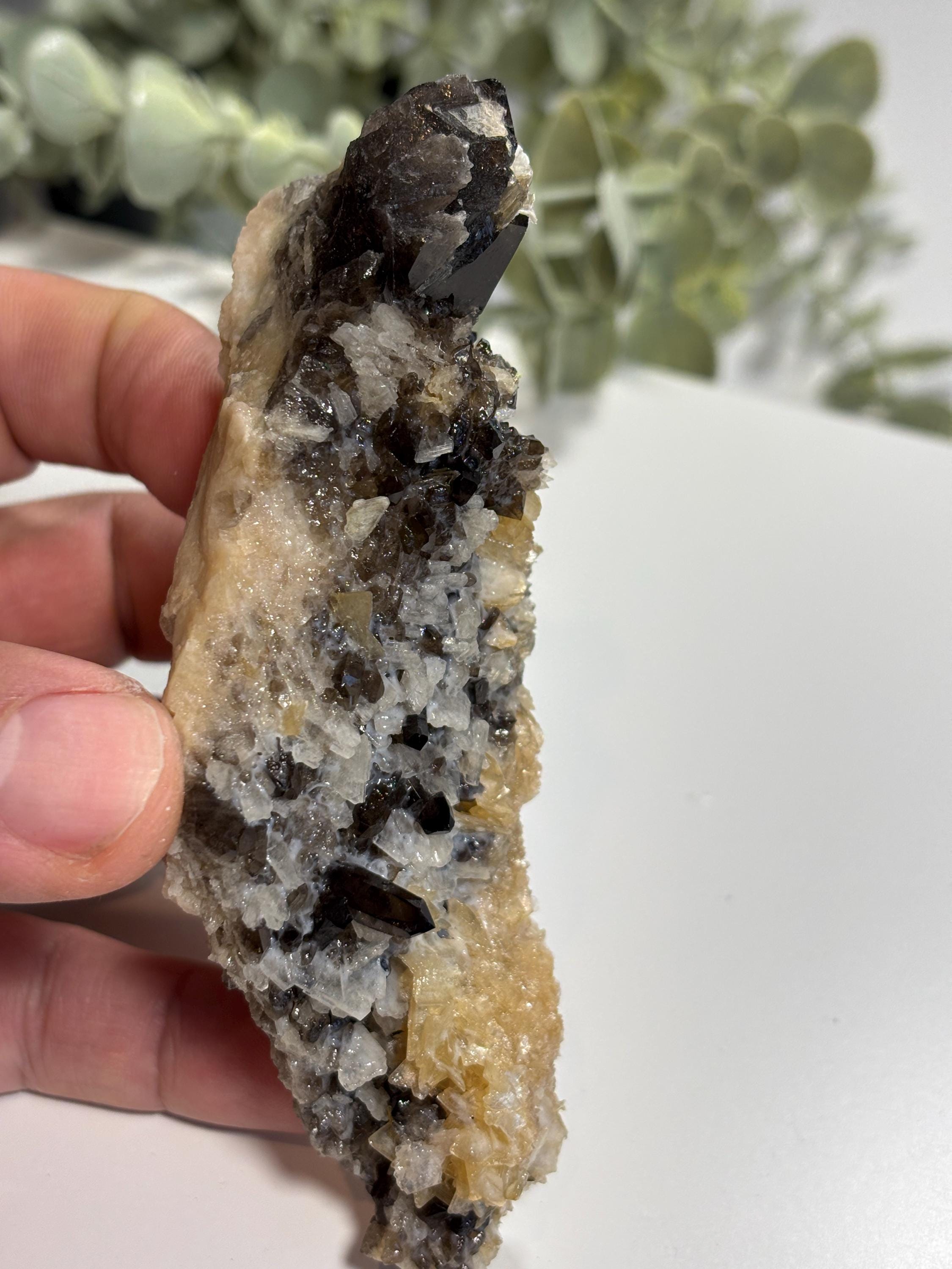 Morion Quartz Cluster with Mica | Black Smoky Crystal, Collector Specimen