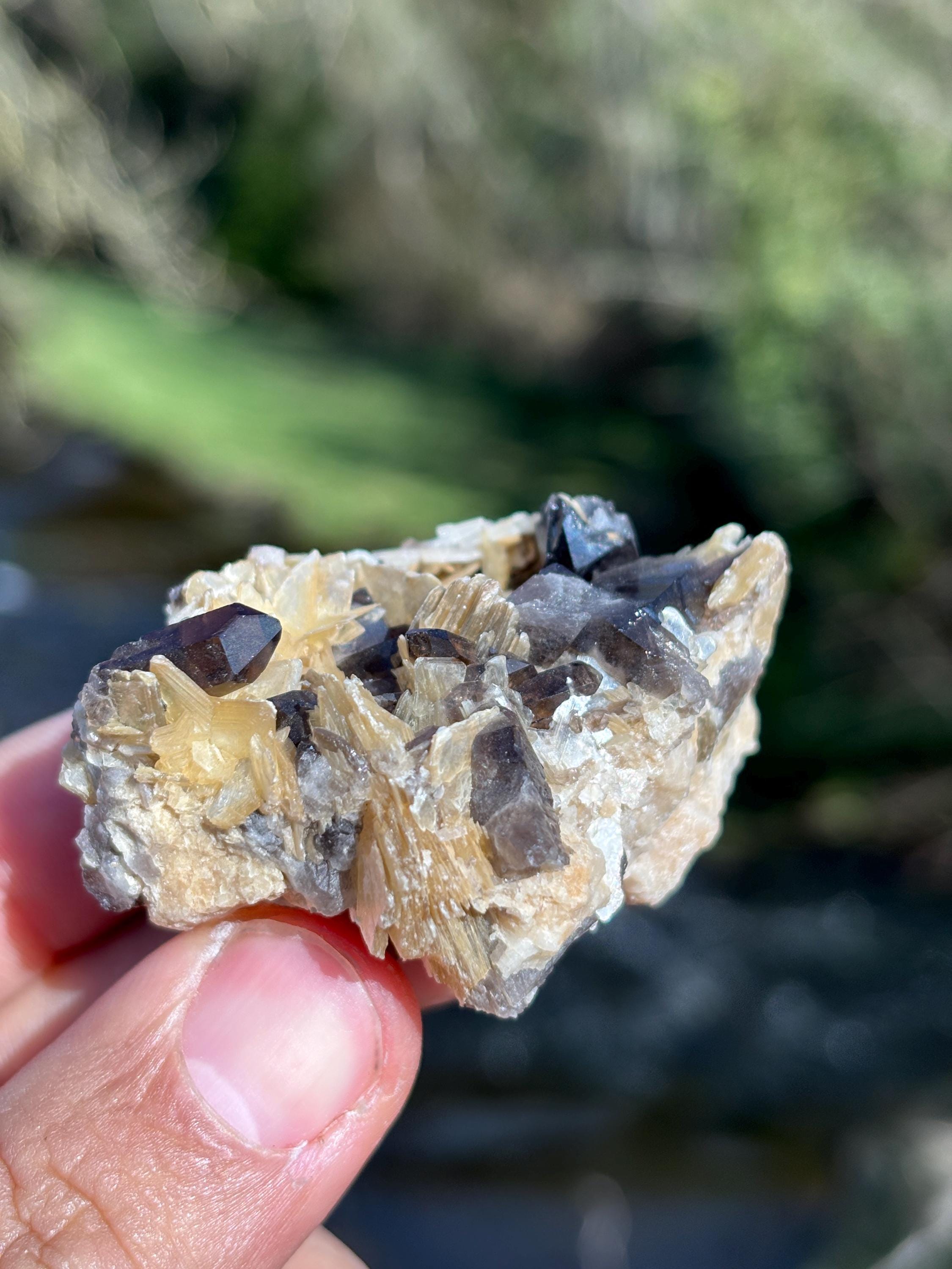 Morion Quartz with Mica | Black Smoky Quartz Cluster | Rare Collector Crystal | Grounding Protection Stone