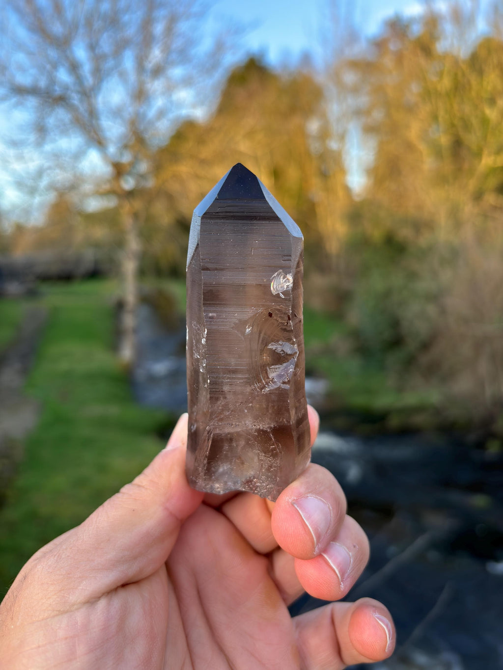 Smoky Lemurian Quartz Point | Natural Brazilian Crystal | Grounding Protection Stone | Raw Collector Specimen