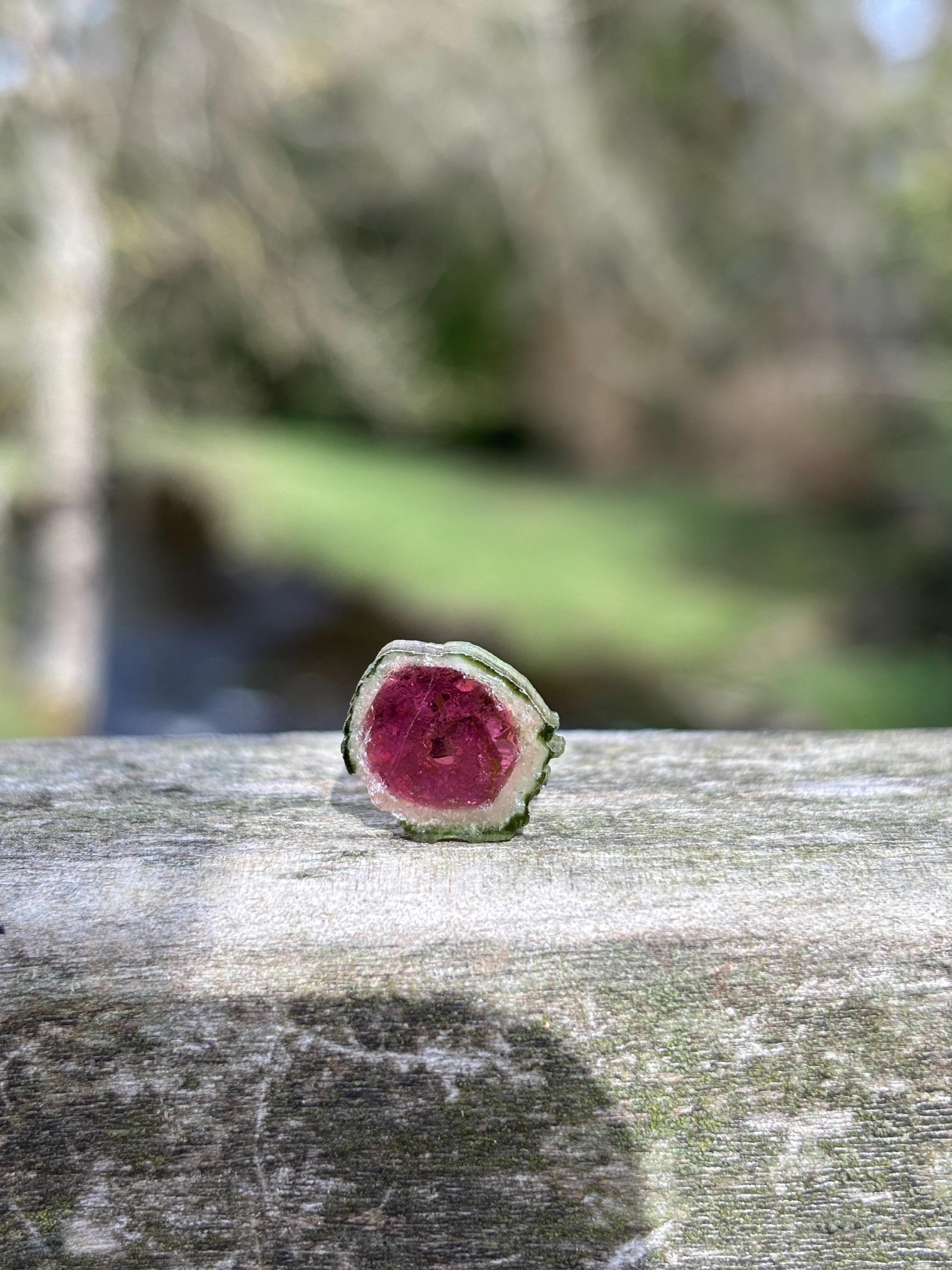 Watermelon Tourmaline Slice | Pink Green Crystal | Natural Tourmaline | Heart Chakra Stone | Collector Gemstone