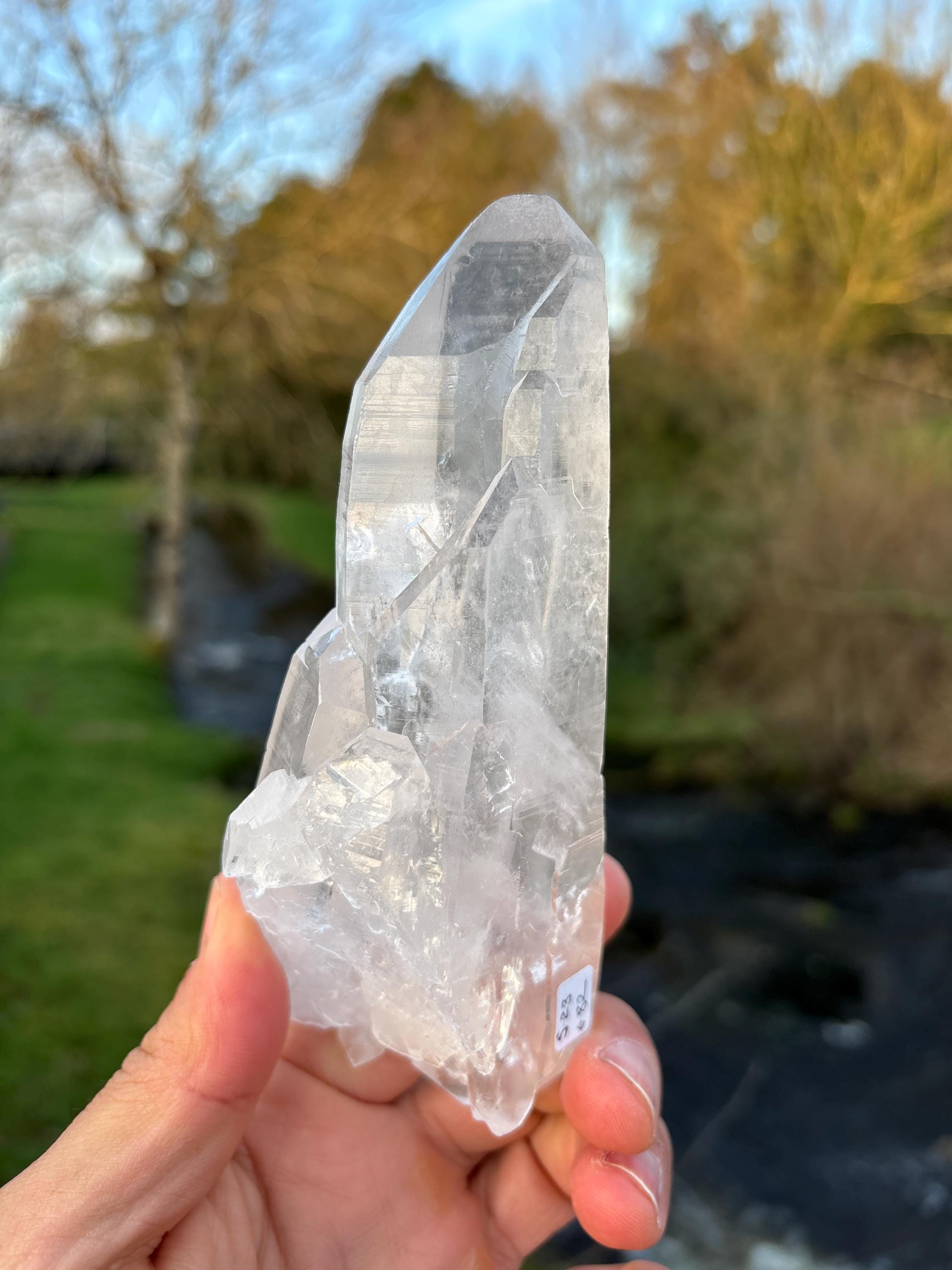 Natural Lemurian Quartz Point | Extra Clear Brazilian Crystal | High Transparency | Raw Collector Specimen | Healing Stone