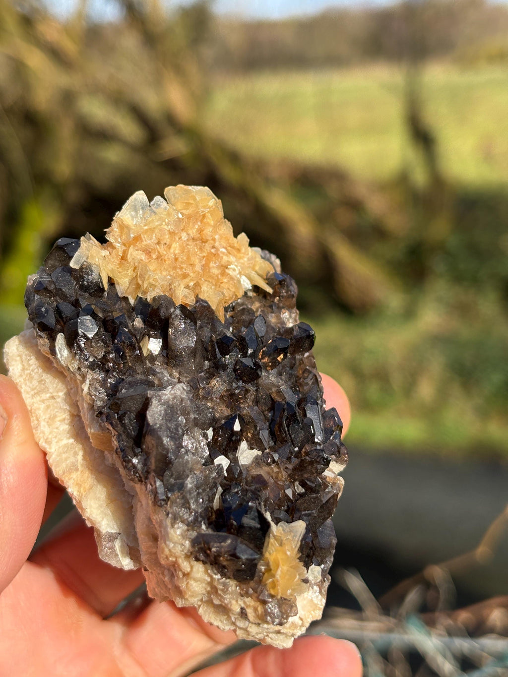 Morion Quartz Cluster with Mica | Black Smoky Crystal Specimen