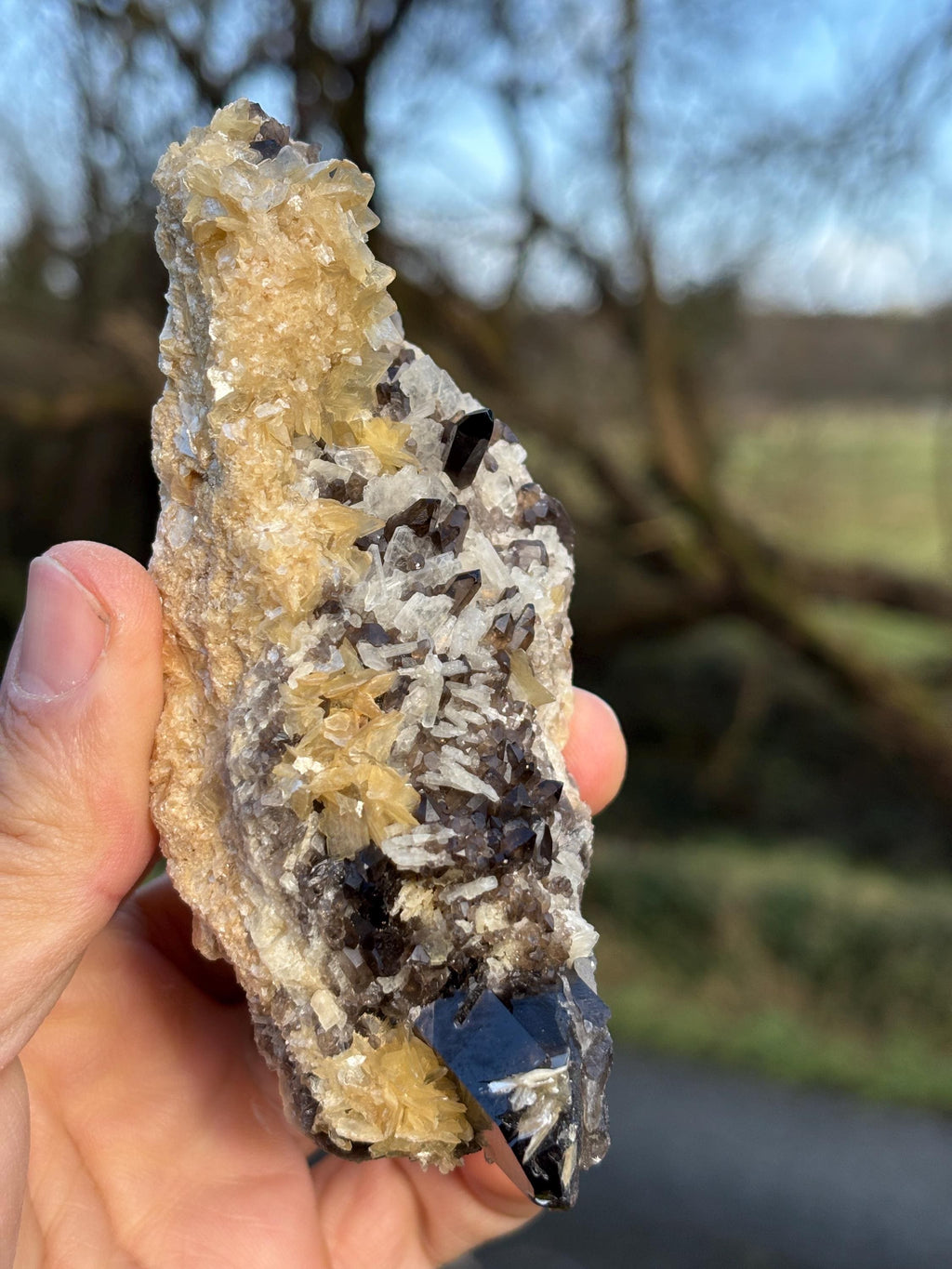 Morion Quartz Cluster with Mica | Black Smoky Crystal, Collector Specimen
