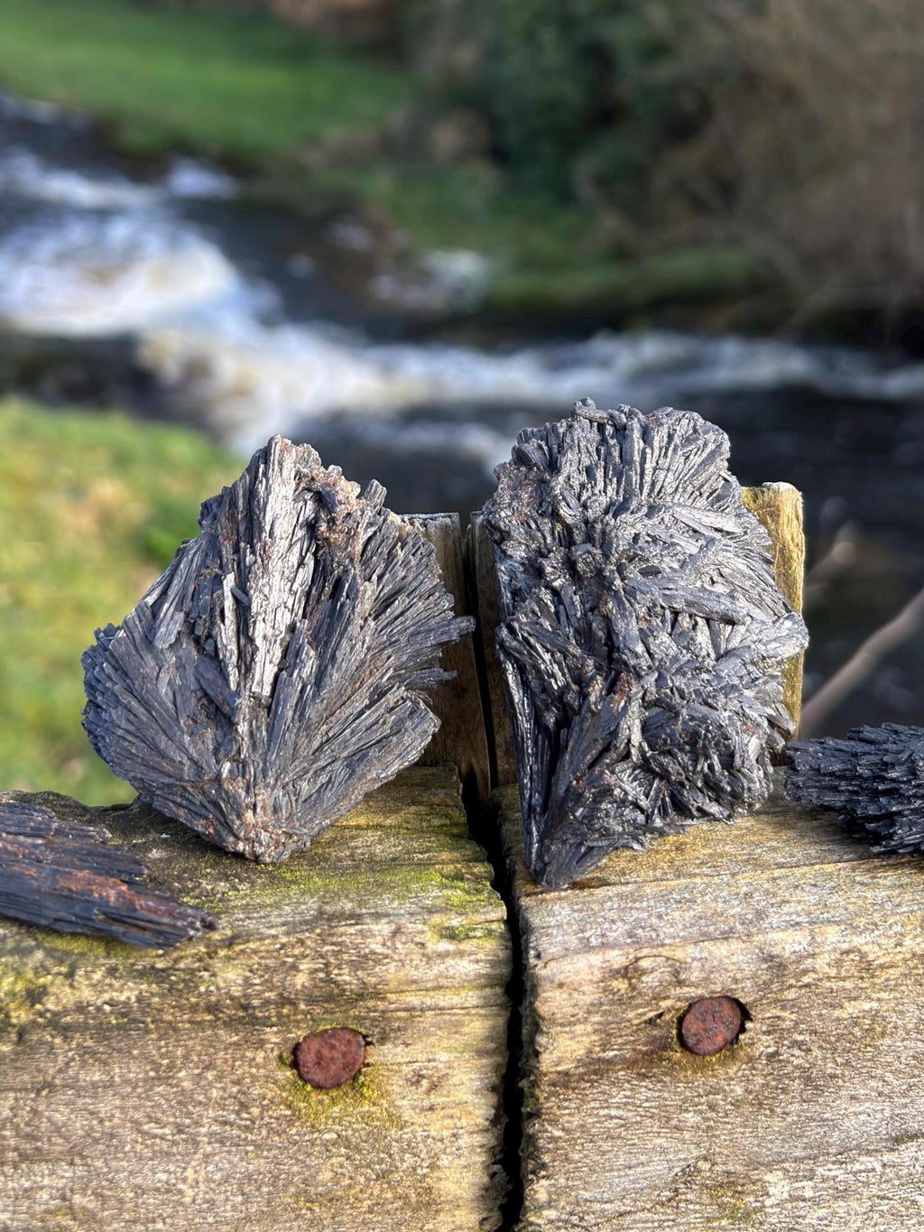 Black Kyanite Rough Crystal | Witch’s Broom, Protection Stone from Brazil