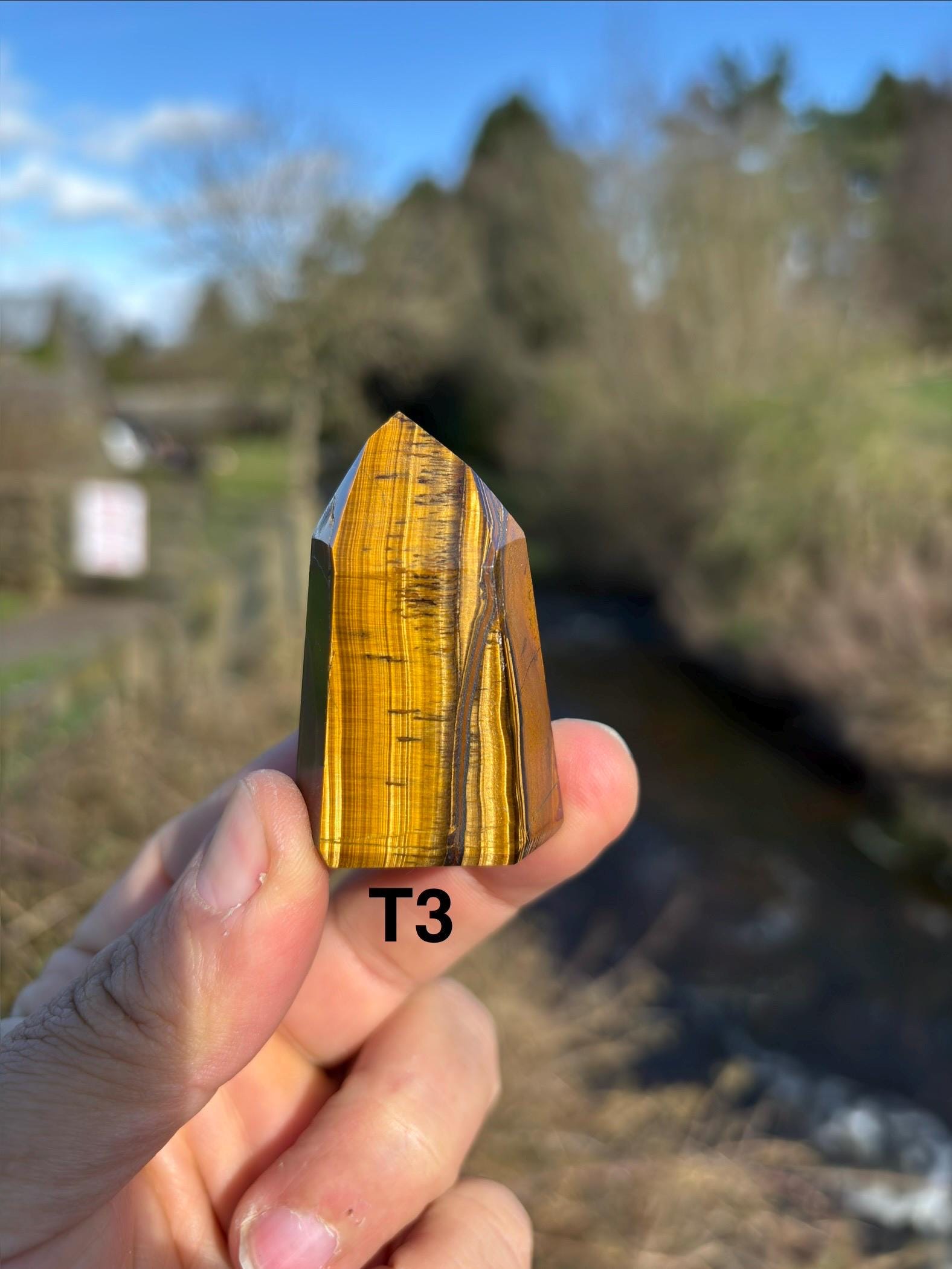 Tiger's Eye Crystal Point | Hand-Polished Tower, Home Decor