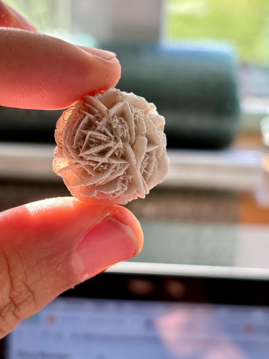 Raw Desert Rose Selenite • Morocco Gypsum Crystal (18g)