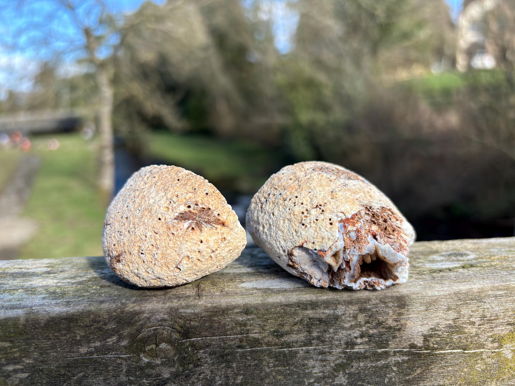 Agate Geode Pair | Natural Crystal Geode Set | Matching Halves | Collector Mineral | Home Decor Gift