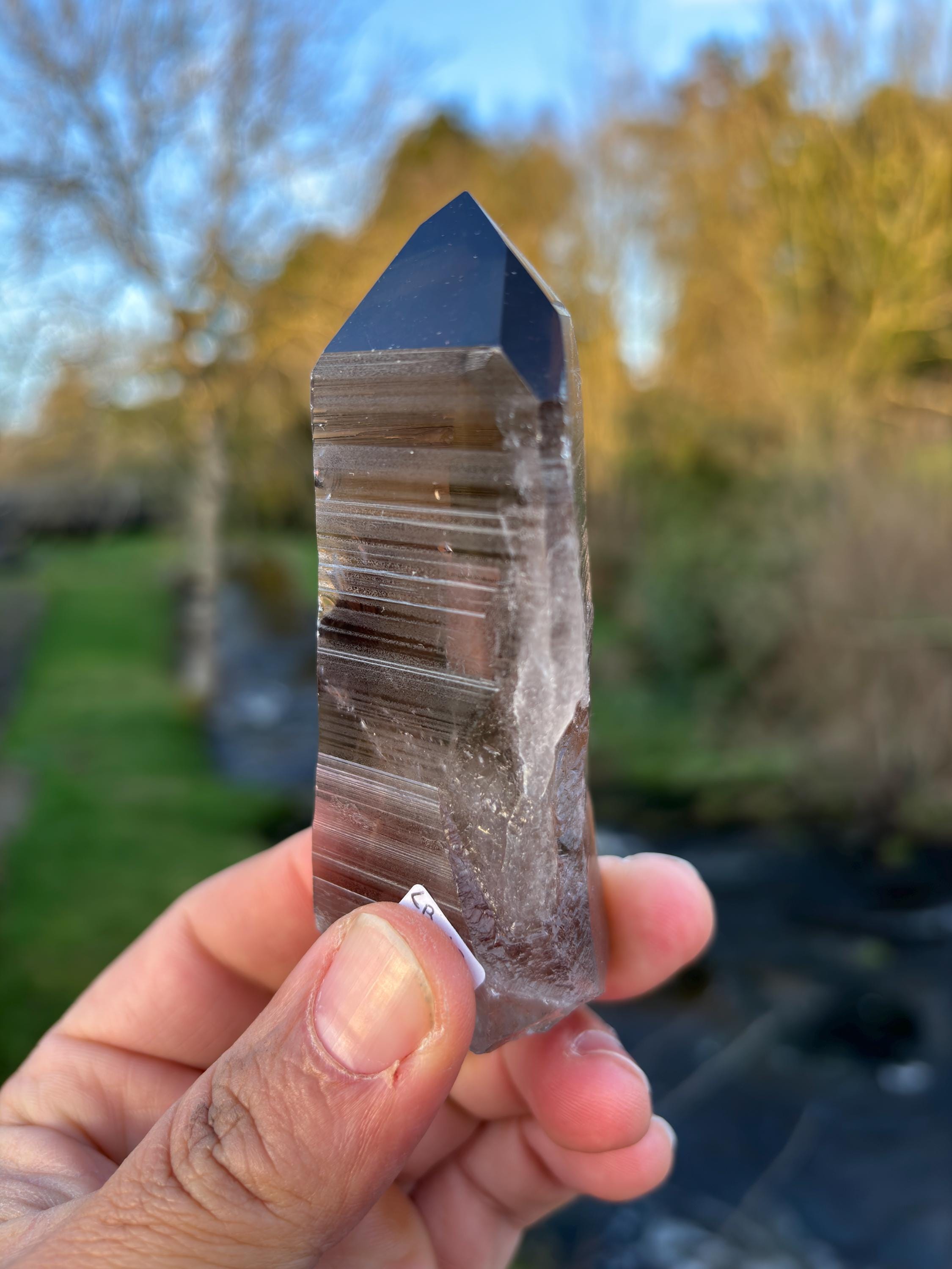 Smoky Lemurian Quartz Point | Natural Brazilian Crystal | Grounding Protection Stone | Raw Collector Specimen