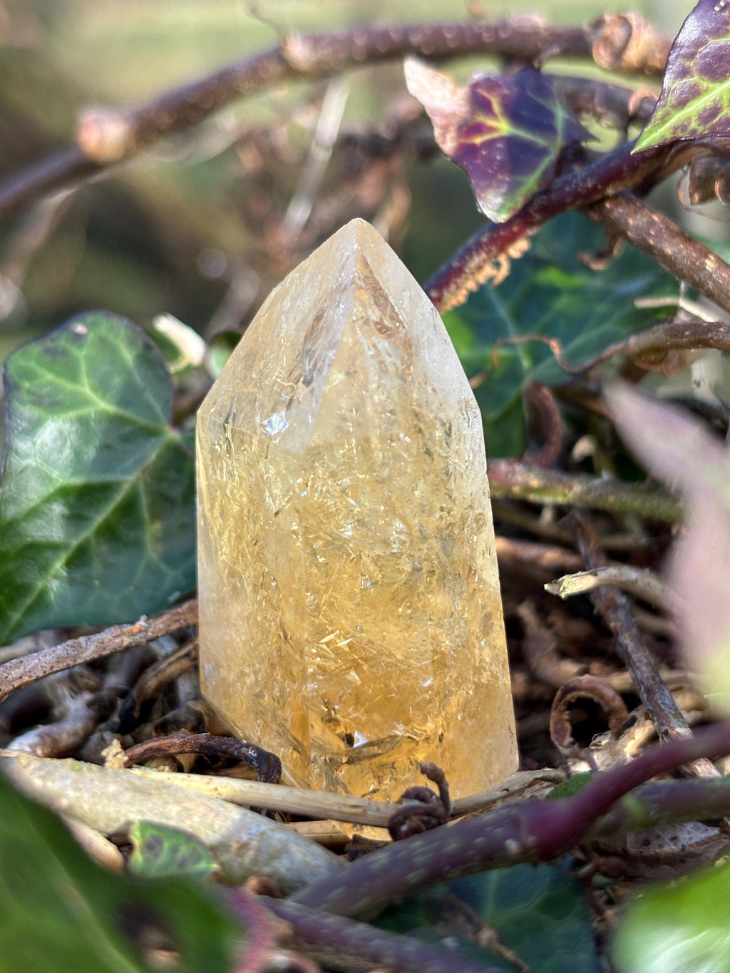 Golden Citrine Point | Polished Abundance Crystal (~50mm)