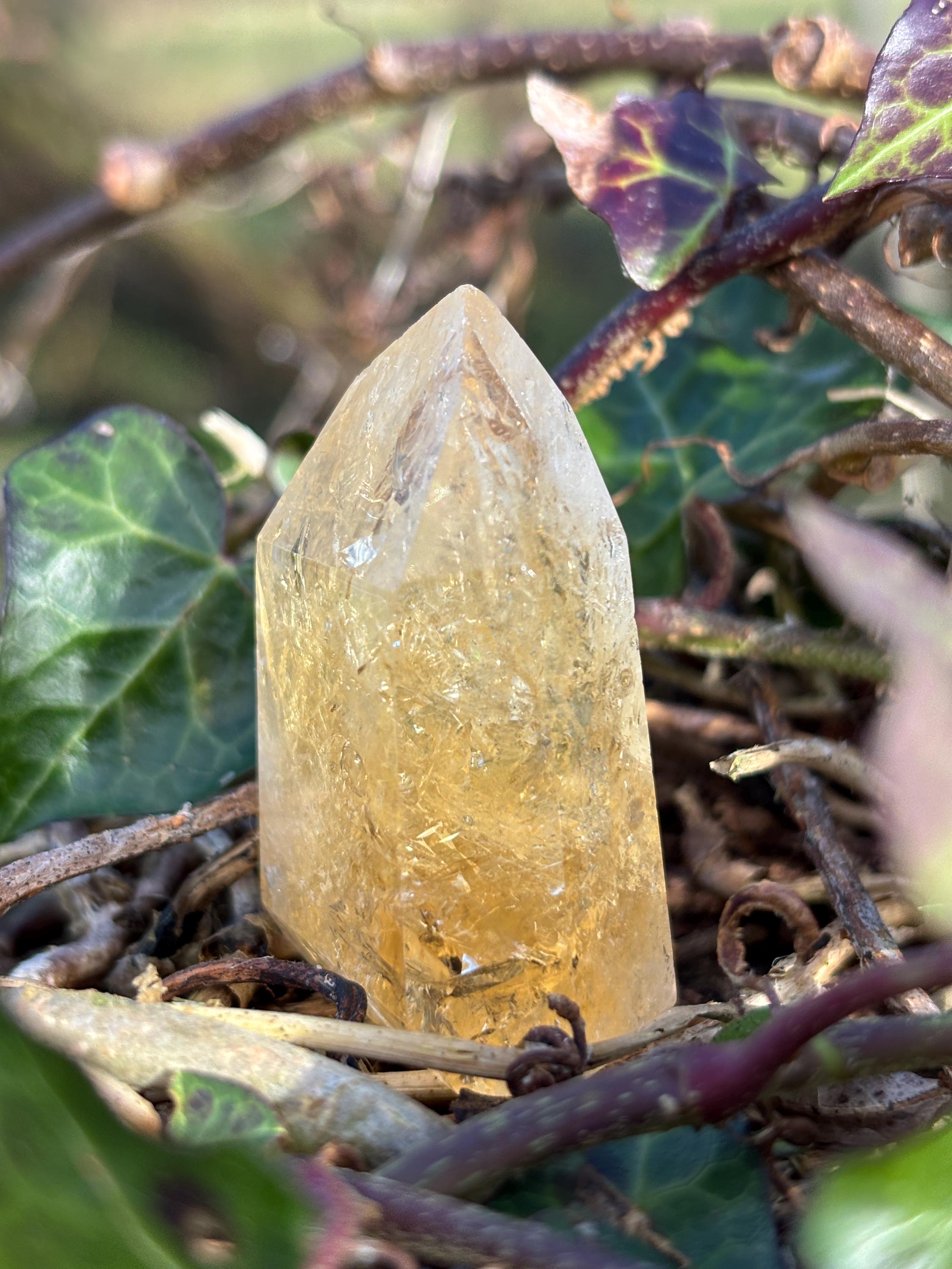 Golden Citrine Point | Polished Abundance Crystal (~50mm)