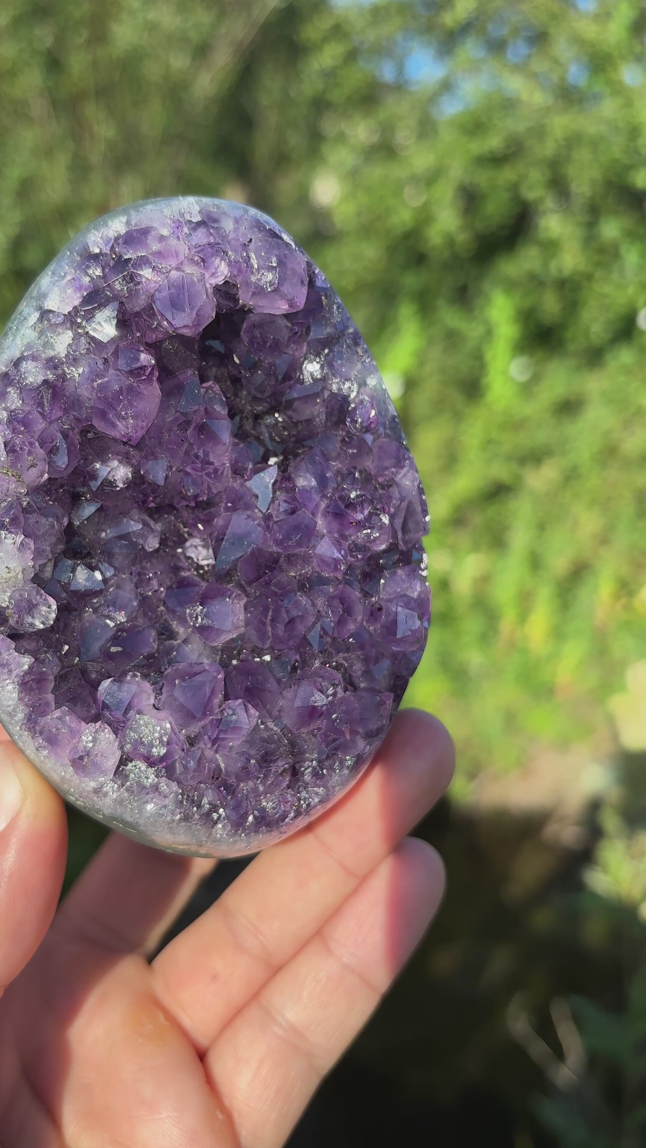 Stunning Egg Shape Amethyst Geode | Extra Quality Deep Purple Brazilian Crystal | Luxury Mineral Specimen