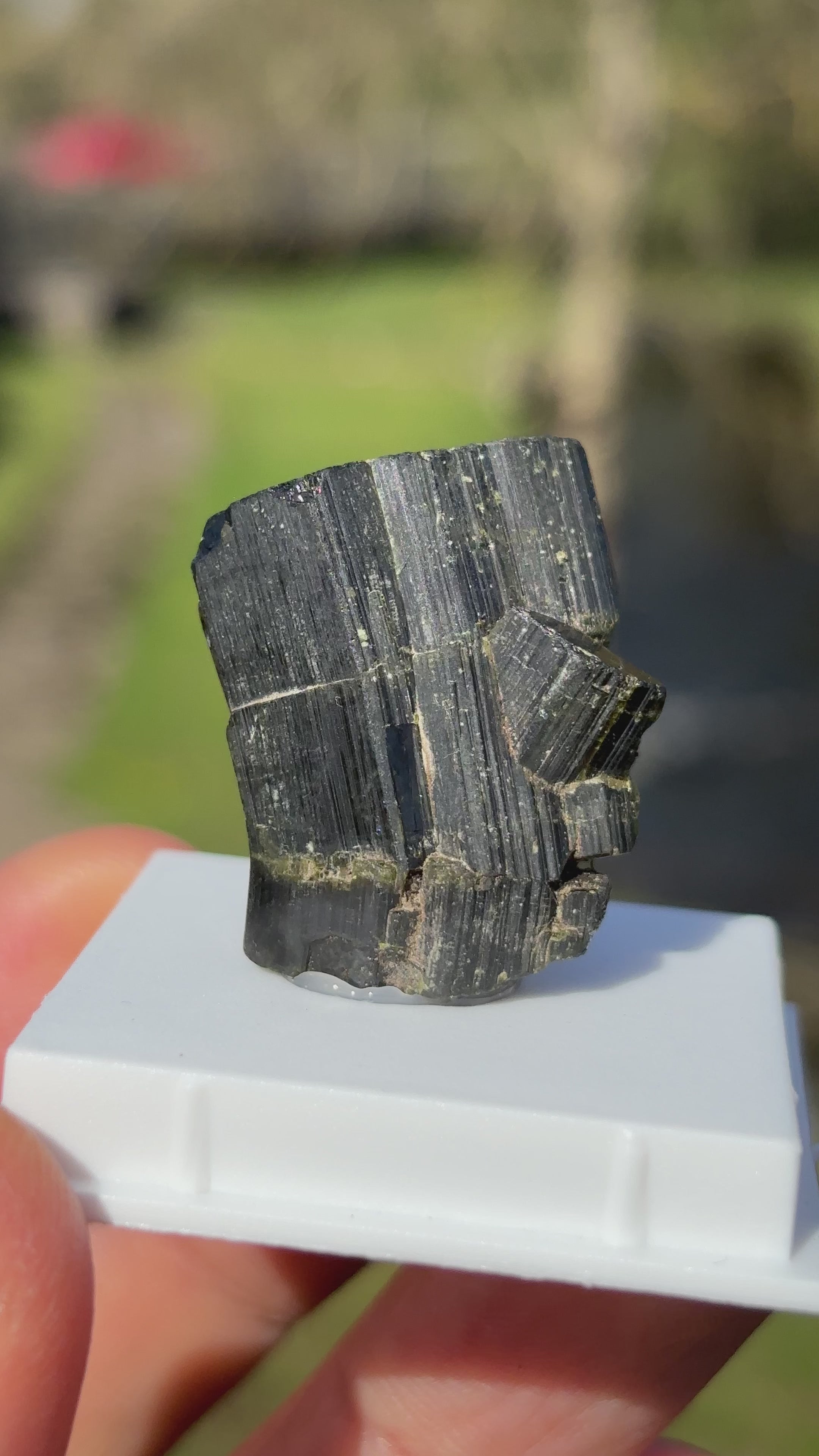 Epidote Crystal | Natural Green Healing Stone | Transformation Mineral | Raw Collector Specimen