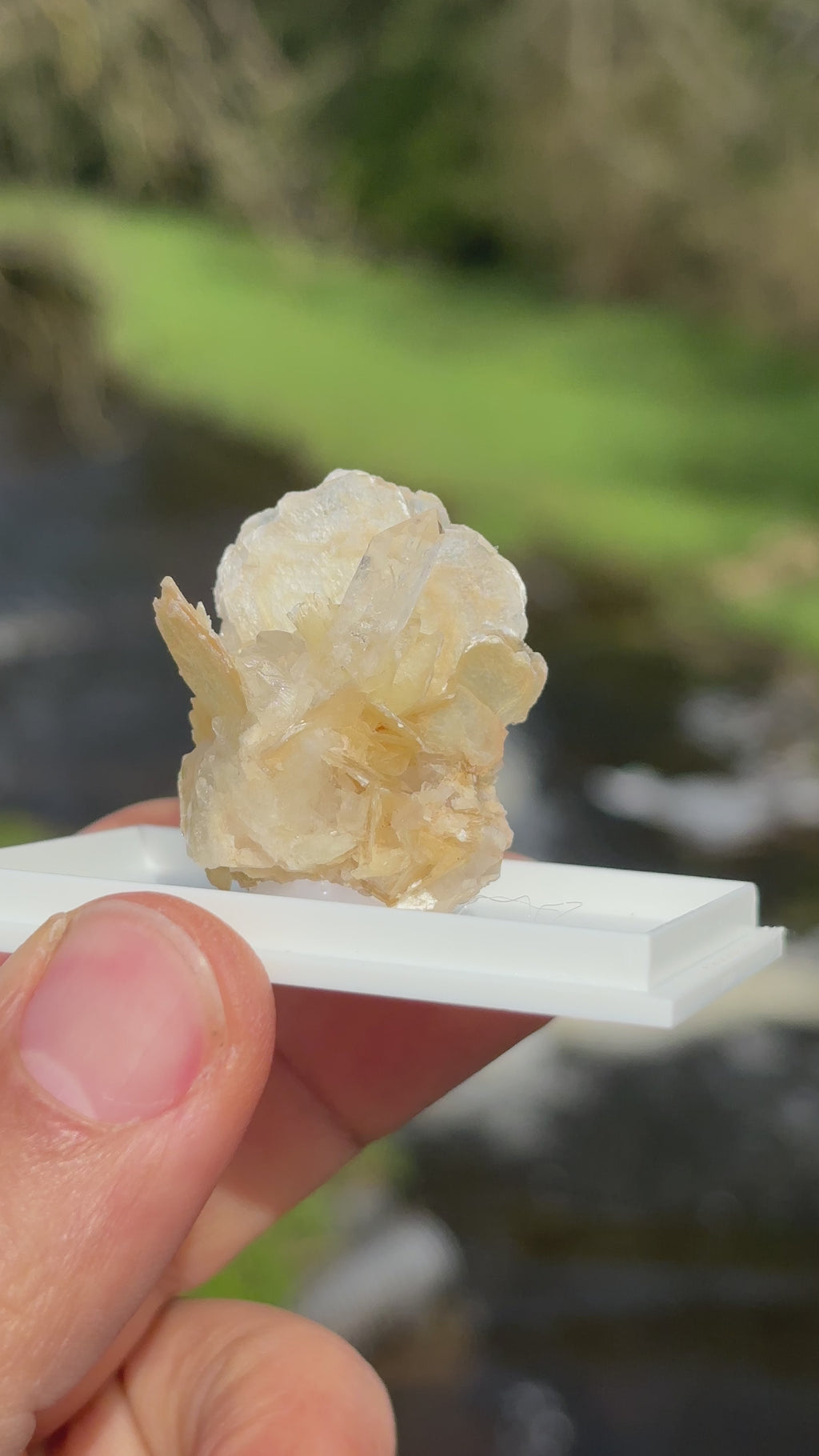 Quartz Points with Mica | Crystal Cluster in Matrix | Natural Mineral Specimen | Collector Stone in Display Box