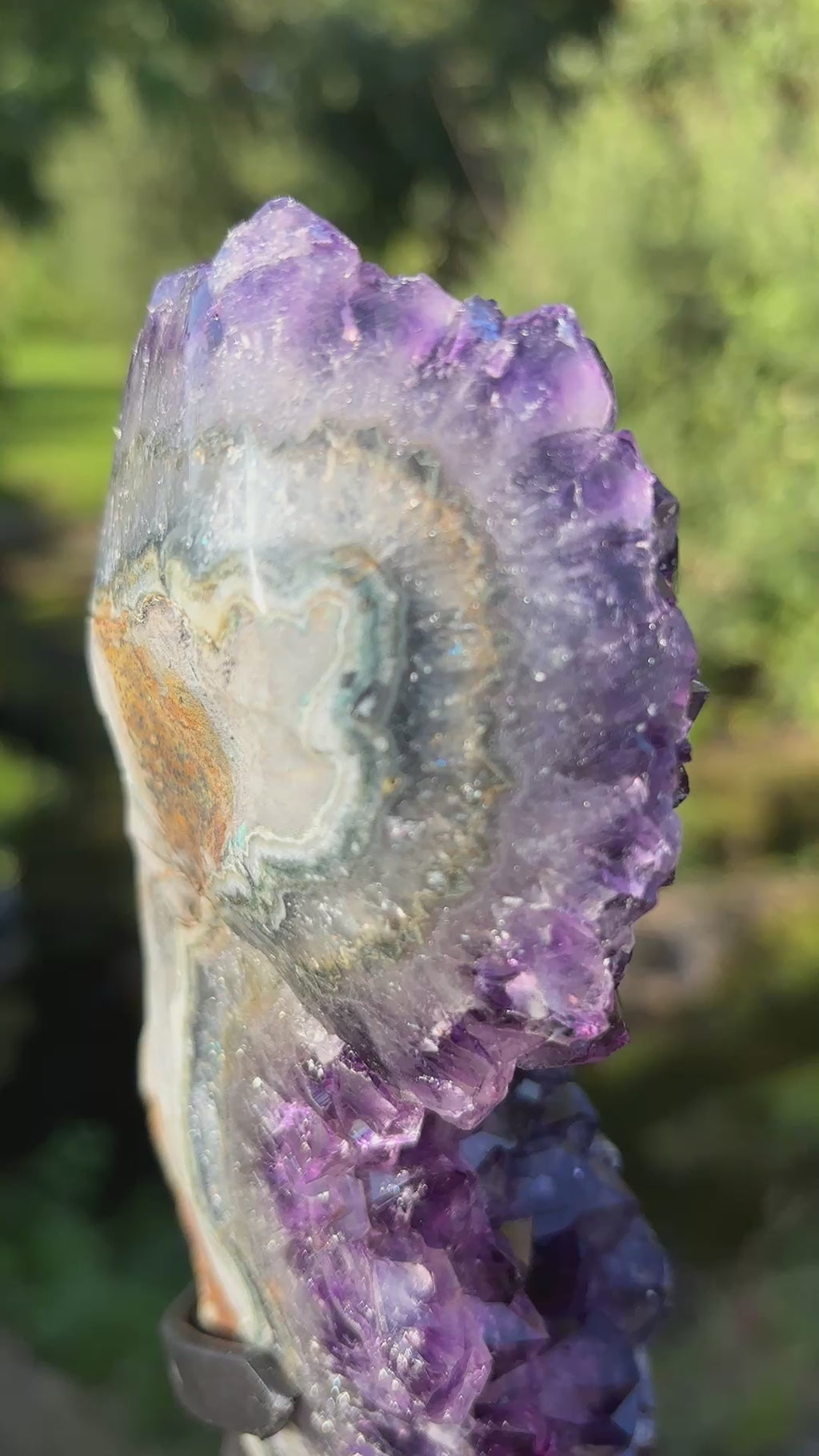 Extra Quality Amethyst Druzy Geode on Elegant Black Stand | Natural Brazilian Amethyst Cluster | Luxury Home Decor Crystal