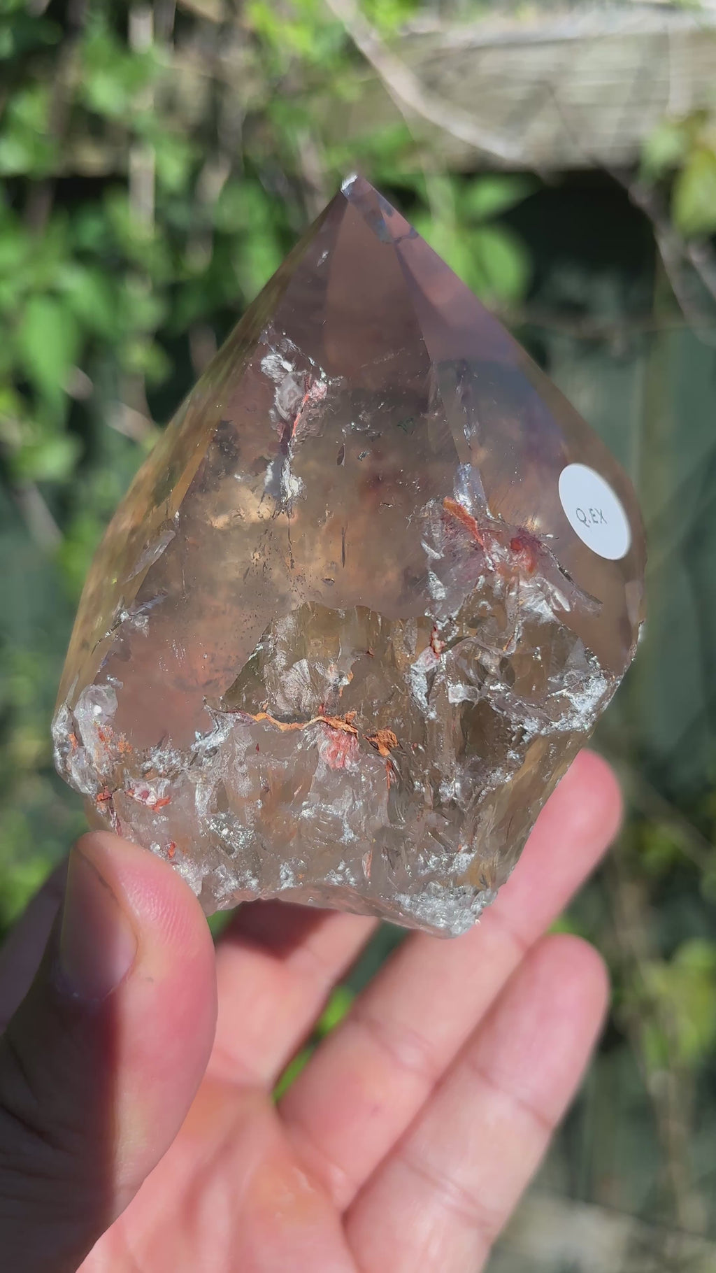 Smoky Quartz Cut Base | Extra Quality Brazilian Crystal | Polished Free Standing Mineral Specimen | Home Decor