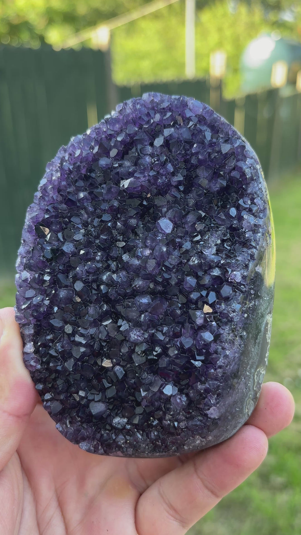 Natural Amethyst Geode on Stand | Premium Brazilian Crystal Display | Large Collector Mineral | Luxury Home Decor
