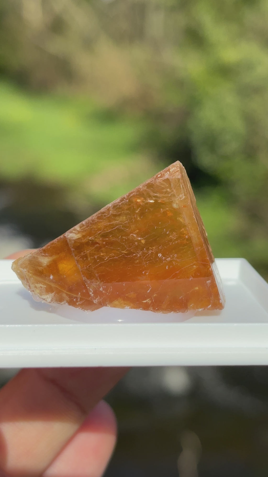 Honey Calcite Crystal | Natural Golden Healing Stone | Solar Plexus Energy Crystal | Raw Mineral Specimen