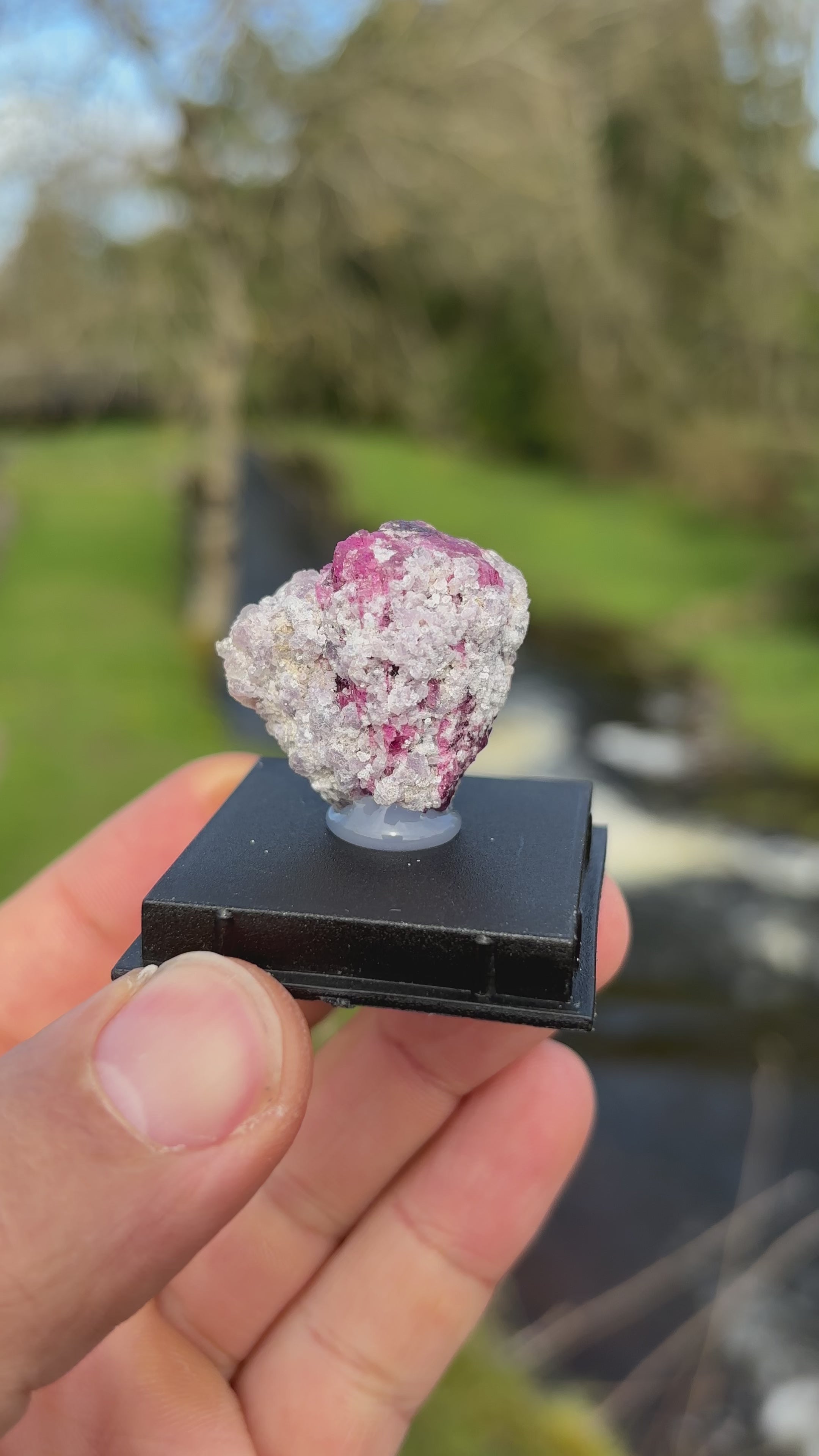 Watermelon Tourmaline Matrix | Natural Pink Green Crystal | Collector Mineral in Display Box | Rare Gemstone