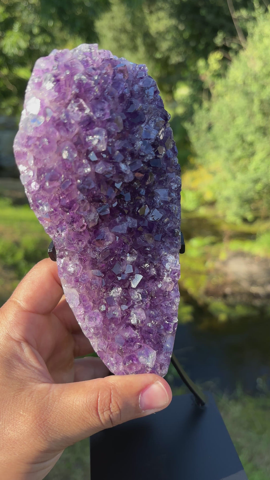 Extra Quality Amethyst Druzy Geode on Elegant Black Stand | Natural Brazilian Amethyst Cluster | Luxury Home Decor Crystal