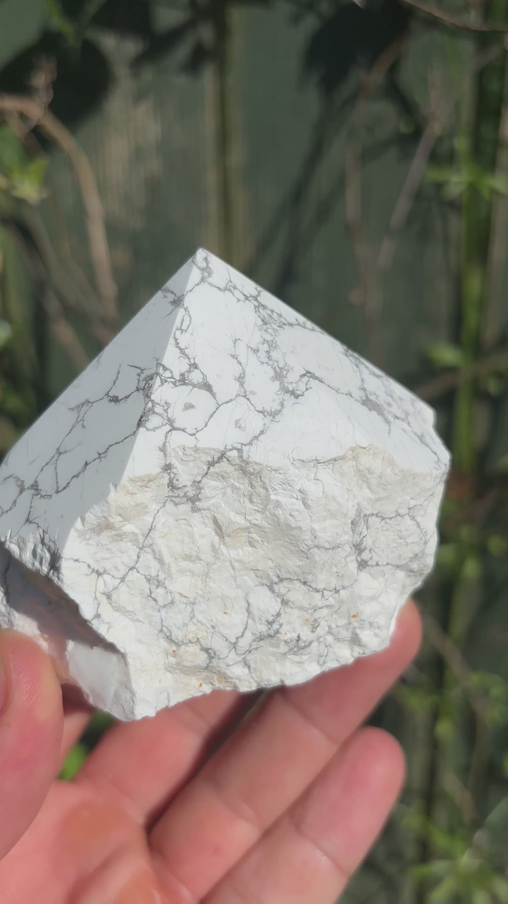 Natural Howlite Cut Base | Polished White Mineral Specimen | Free Standing Collector Crystal | Luxury Home Decor