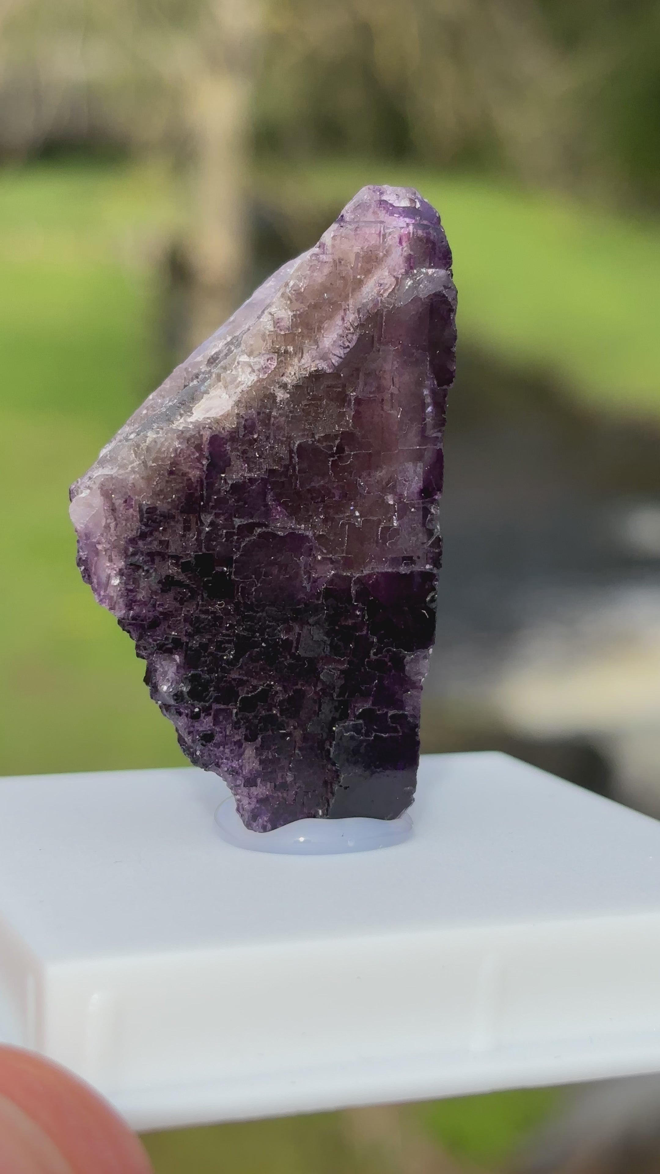 Purple Fluorite Crystal | Natural Healing Stone | Violet Mineral Specimen | Collector Piece in Display Box