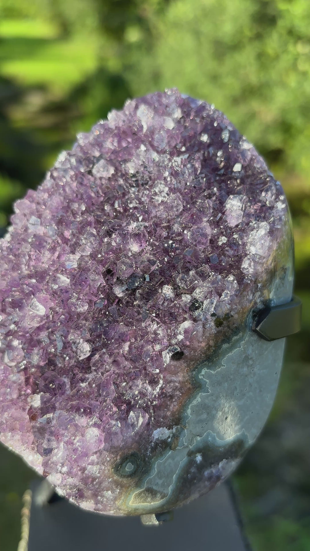 Extra Quality Amethyst Druzy Geode on Elegant Black Stand | Natural Brazilian Amethyst Cluster | Luxury Home Decor Crystal