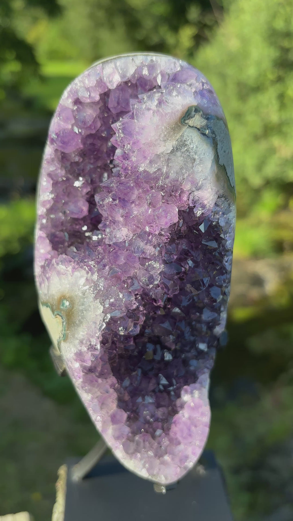 Extra Quality Amethyst Druzy Geode on Elegant Black Stand | Natural Brazilian Amethyst Cluster | Luxury Home Decor Crystal