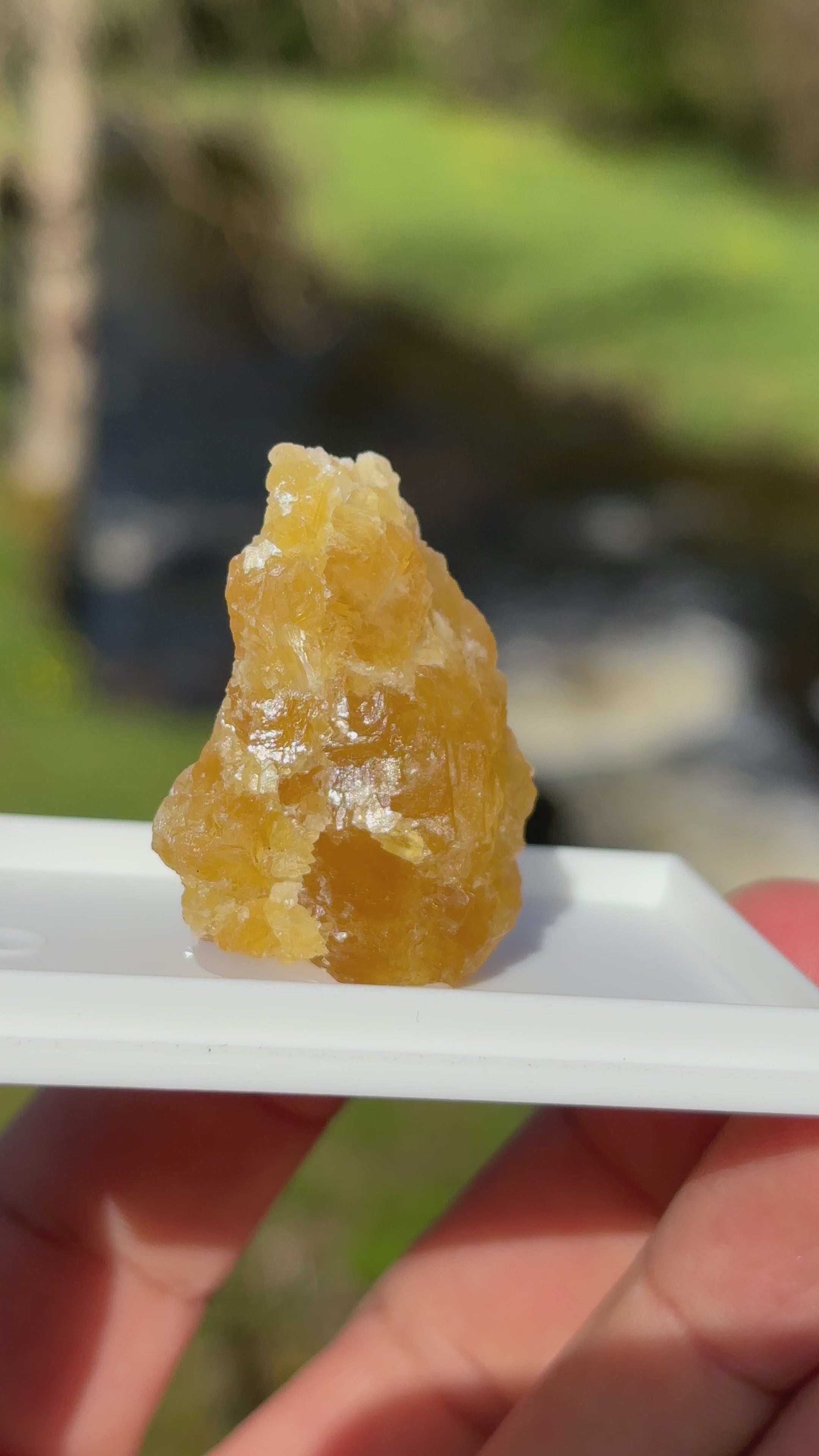 Orange Calcite Crystal | Raw Healing Stone | Sacral Chakra Energy | Natural Orange Mineral | Crystal Decor