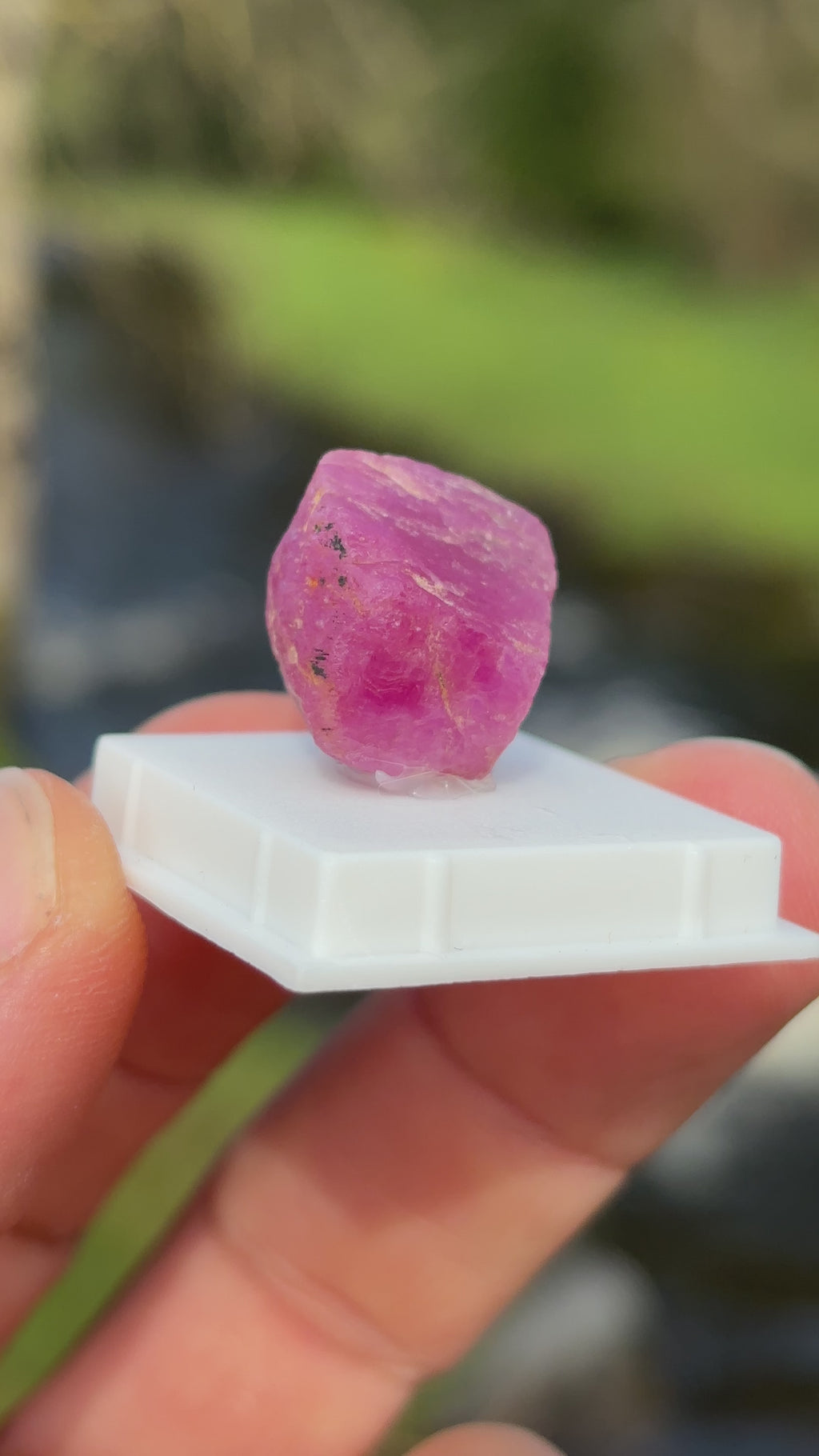 Raw Ruby Crystal | Natural Corundum Gemstone | Red Healing Stone | Collector Mineral | Rough Ruby
